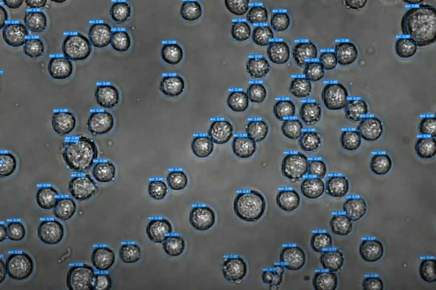 ▲虎科大癌細胞獵殺效率智慧評估，獲「智慧運算創新應用」銅獎。(記者劉春生攝)